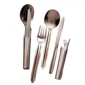 Set de Cubiertos 4 en 1 Dg